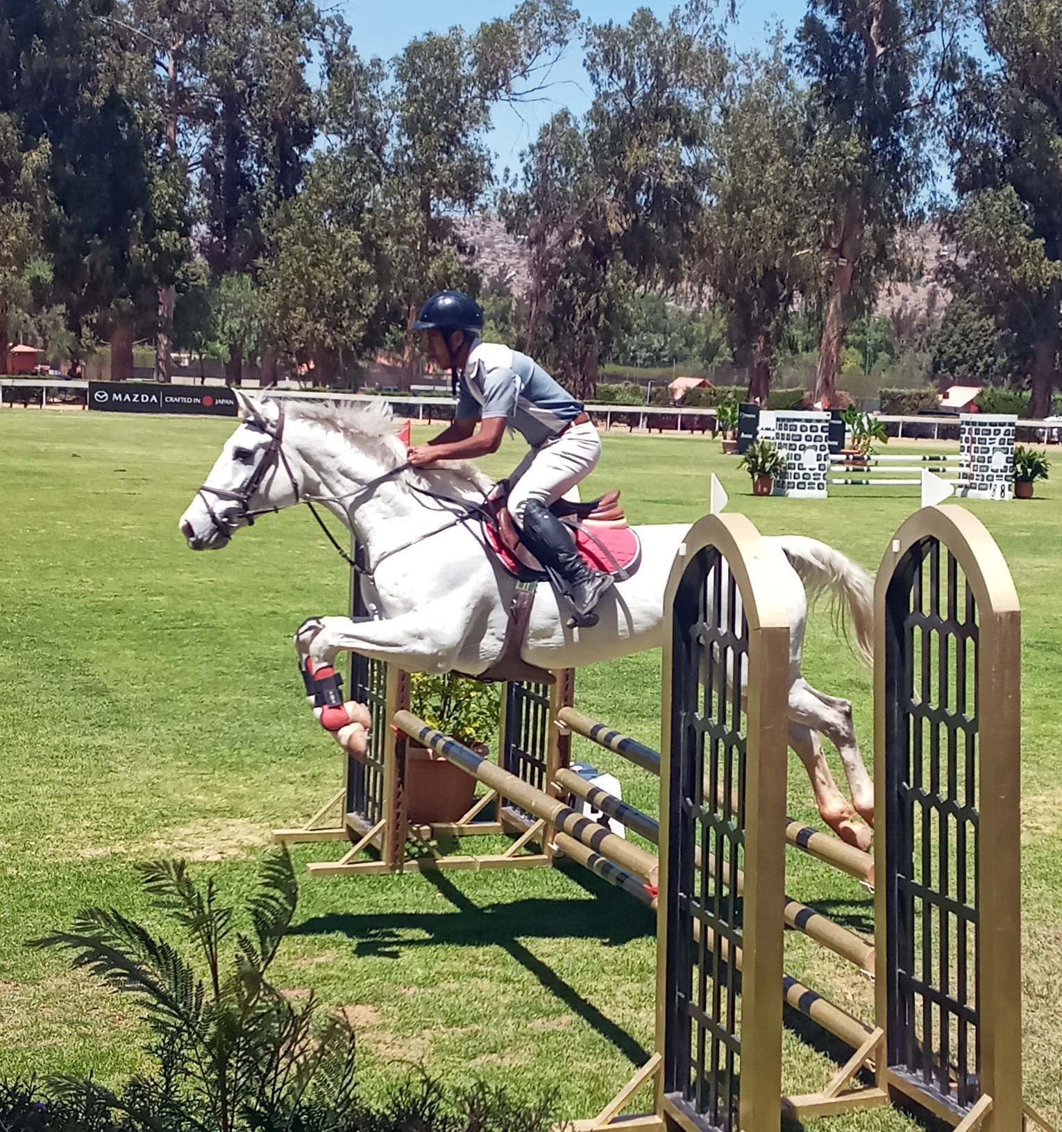 XV Concurso de Salto